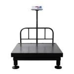 dgp-2-ton-2000kg-capacity-500g-accuracy-heavy-duty-platform-weighing-scale-for-industrial-use-digitone®-hero-image